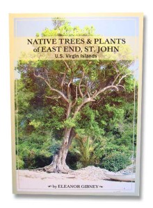 Native trees and plants of east end st. johnn